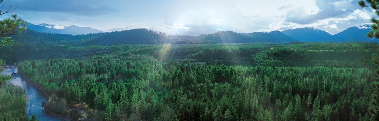 Suncadia Lodge Studio Unit Cle Elum Buitenkant foto